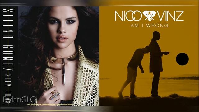 Slow Down The Wrong | Nico & Vinz & Selena Gomez Mashup!