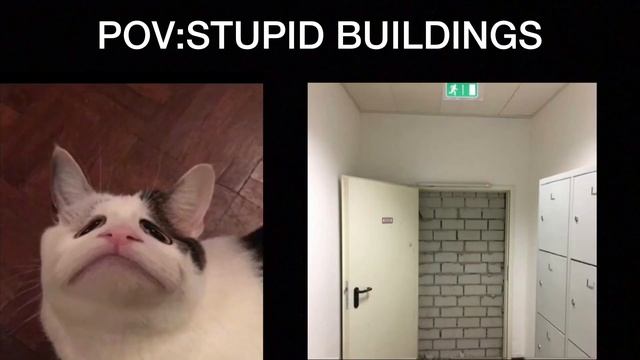 Beluga Cat Reaction part 1:(Pov stupid building)