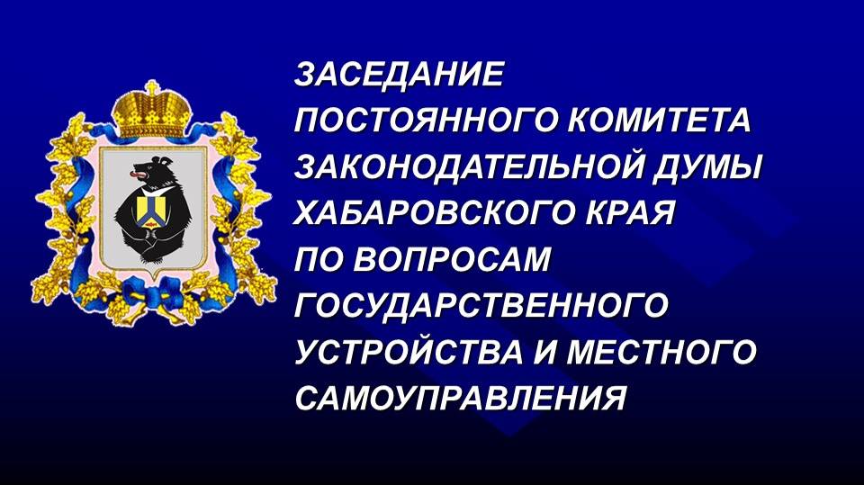 Заседание комитета по вопросам государственного устройства и местного самоуправления