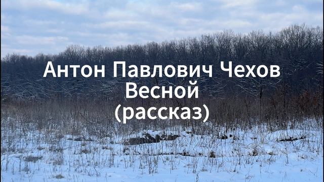 АУДИОКНИГА Антон Павлович Чехов ВЕСНОЙ (рассказ)