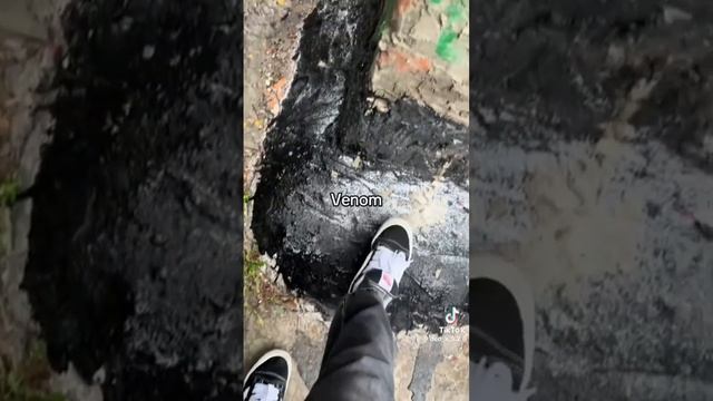 scene_output.mp4