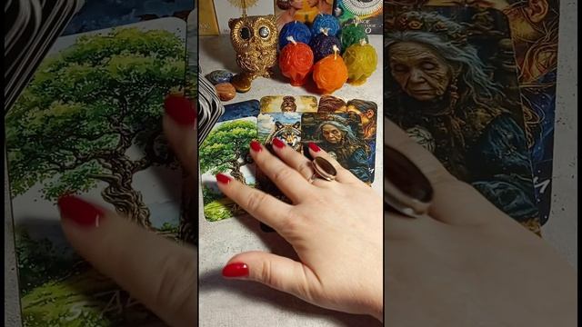 МЫСЛИ ЗАГАДАННОГО ЧЕЛОВЕКА