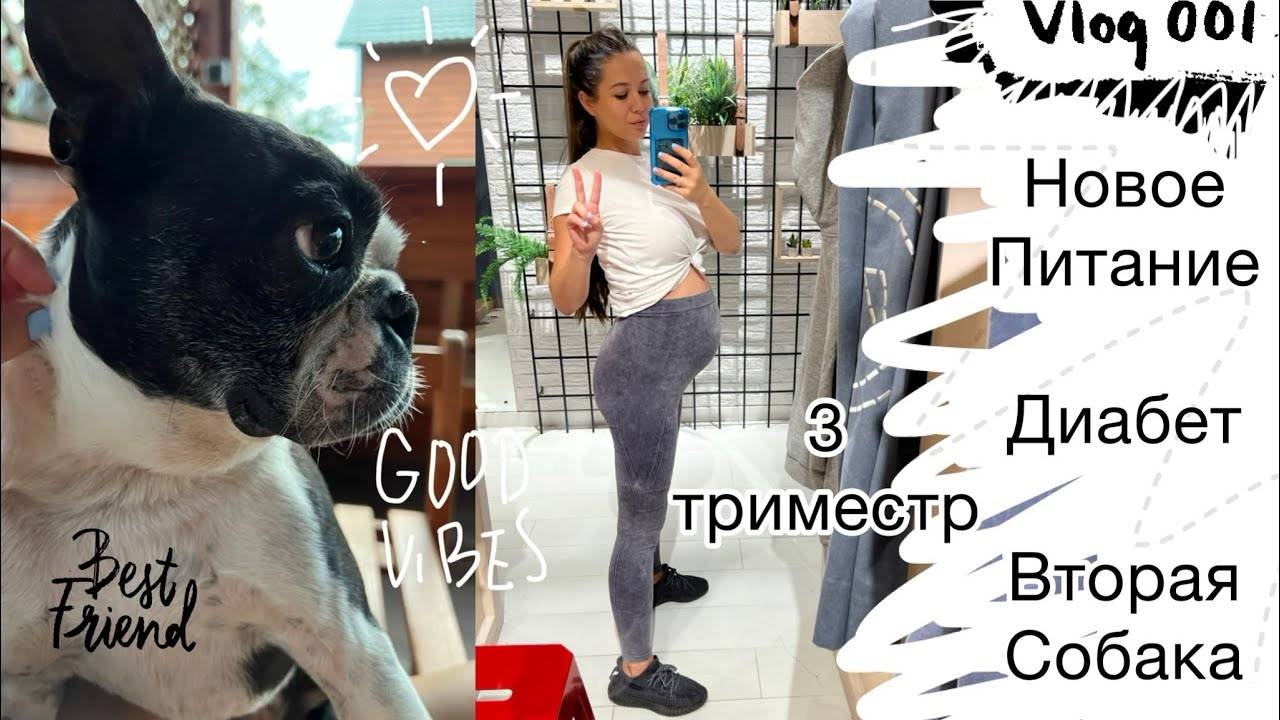 Живу по режиму. Зоовлог. Диабет. Новое меню и образ жизни. Влог.