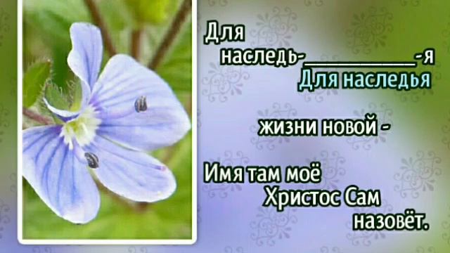 291 Затрубит труба Господня (-)