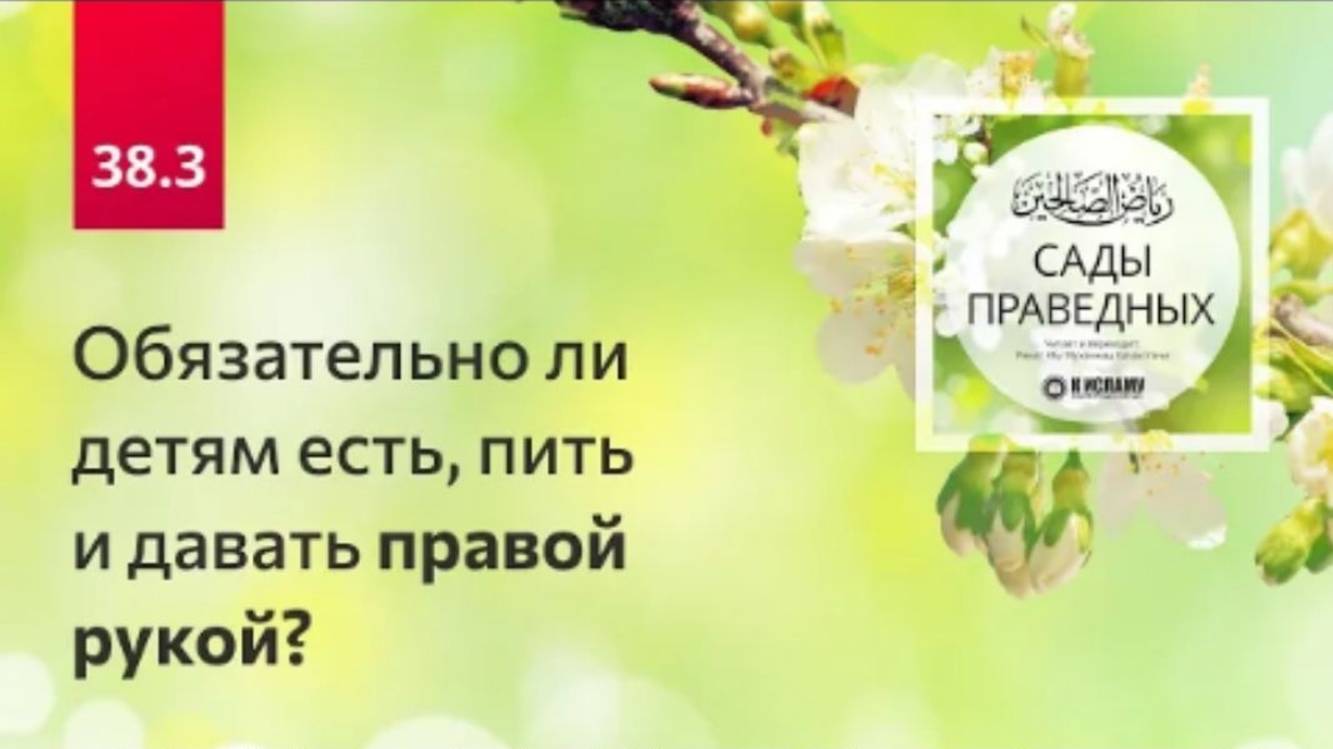 38.3 Обязательно ли детям есть, пить и давать правой рукой Сады праведных. Ринат Абу Мухаммад