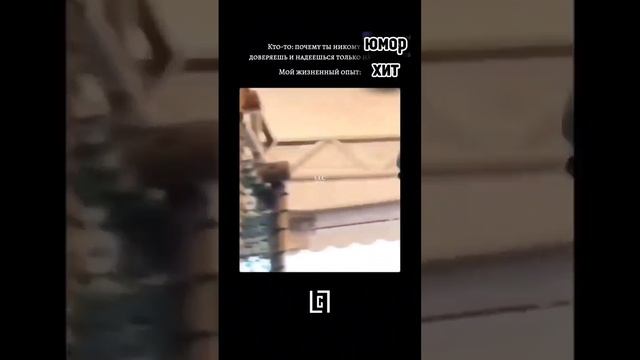 НЕОЖИДАННО! Юмор, приколы, жесть.