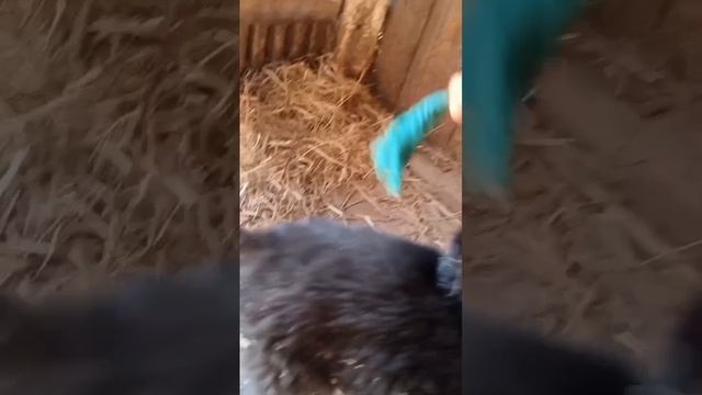 1000072670.mp4