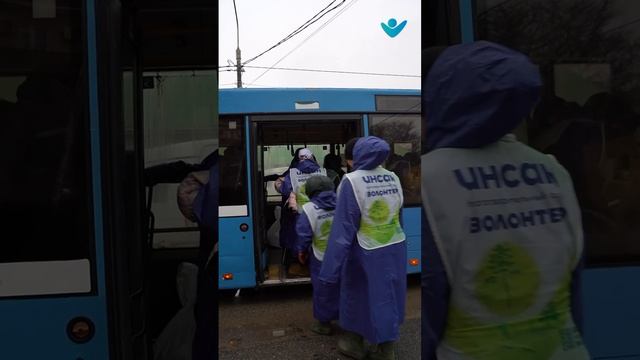 Заряд позитива и чистый пляж