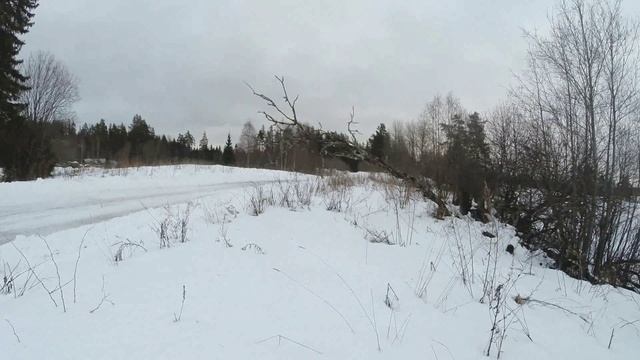 Мордкович тест 16/01/25