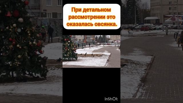 Всех со старым новым годом!