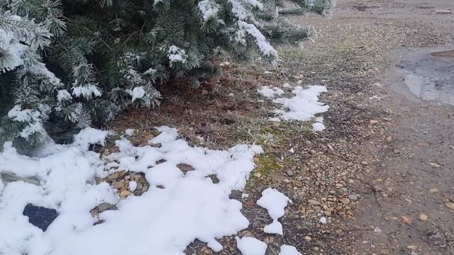 Зимнего,замечательного дня!