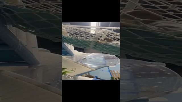 1000108925.mp4