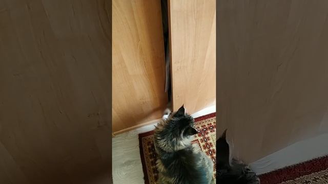 пещера Али Бирмы́
