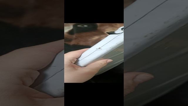 VID20250116170453
