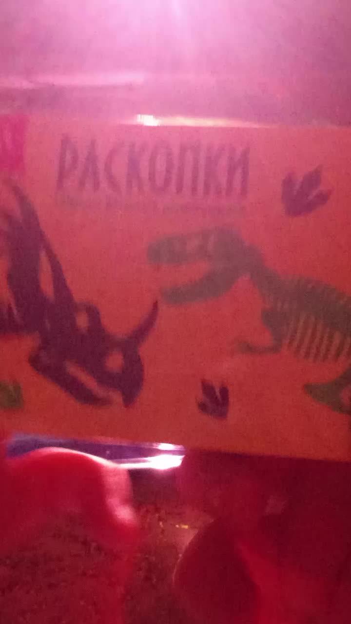 раскапываю динозавра.