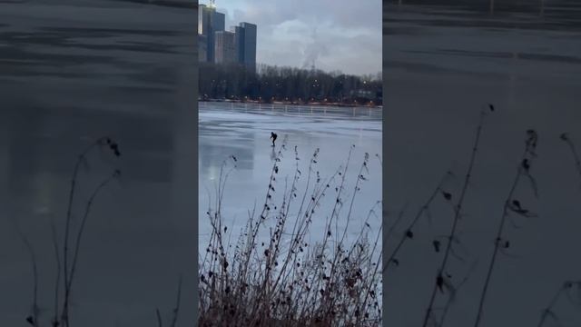 ⛸️Мужчина катается по тонкому льду на Борисовских прудах⛸️