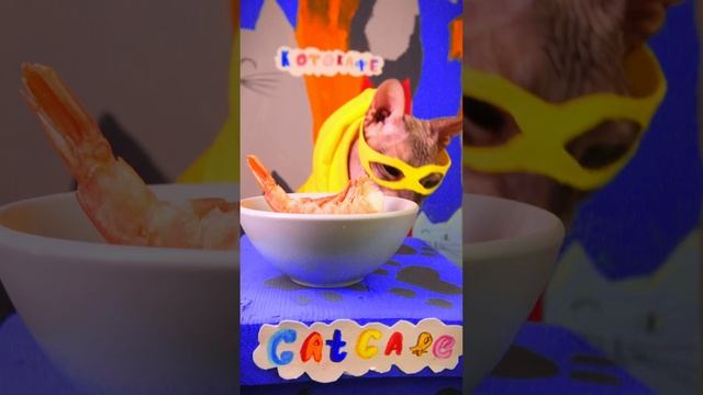Капитан Бесяш🦸🏻♀️ и Супер Котяш🐾 Подпишись и смотри наши видео