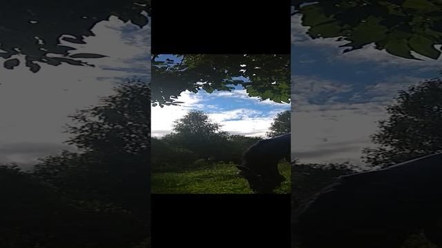 VID_20210917_142537