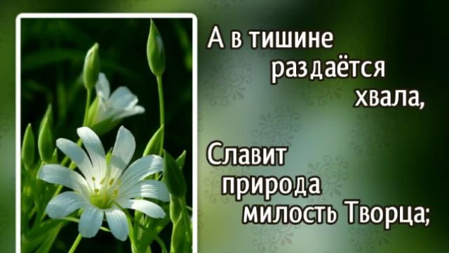 336 Ясным румянцем горят небеса (-)