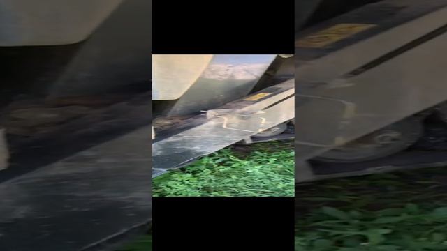fa5c16cf-c971-4ad9-b481-9311f391411a