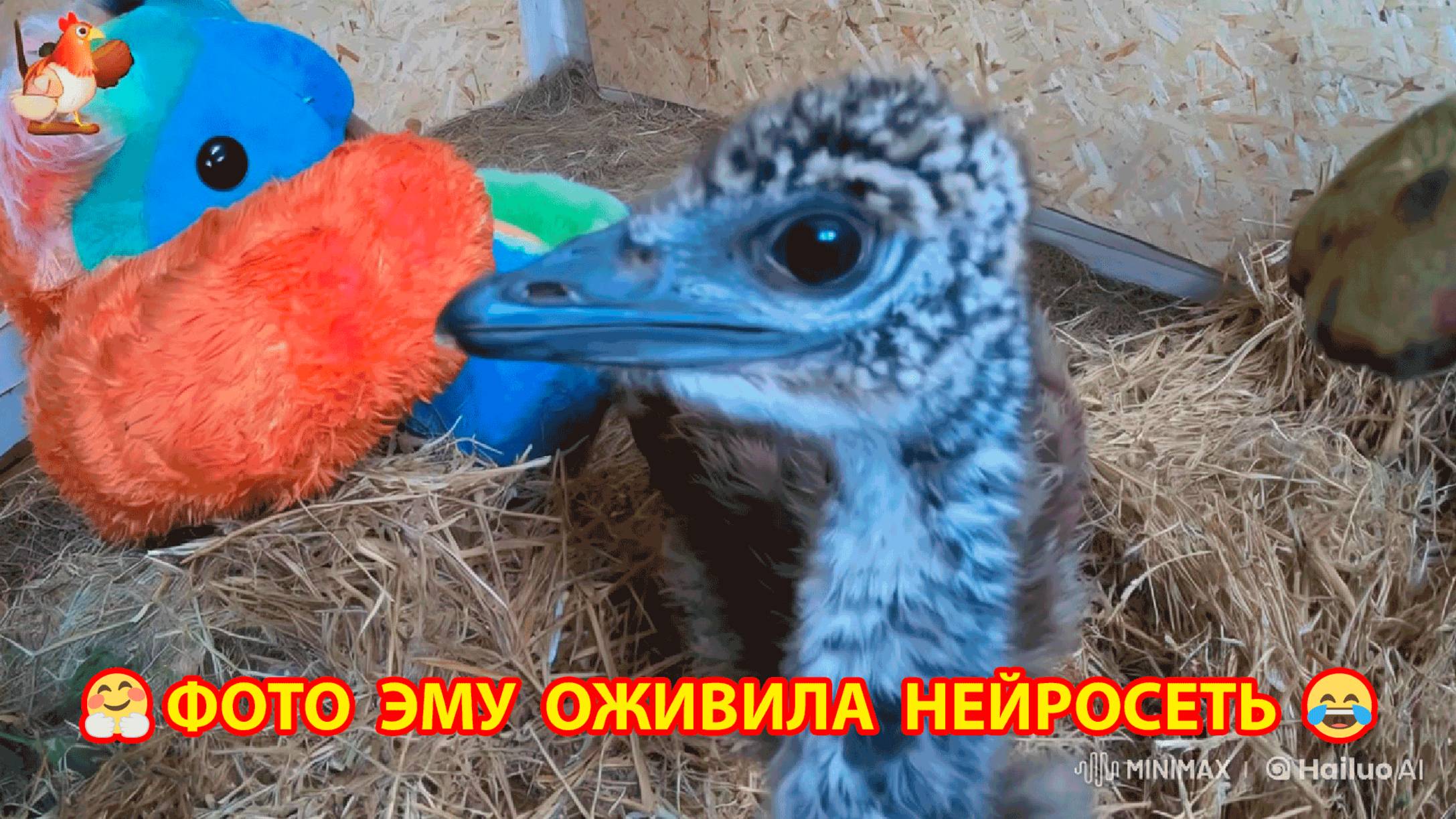 Эму 2 месяца 🤗 Нейросеть оживила фото и вот что получилось 😂🤣😂