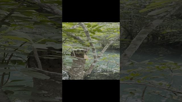 1000020356.mp4