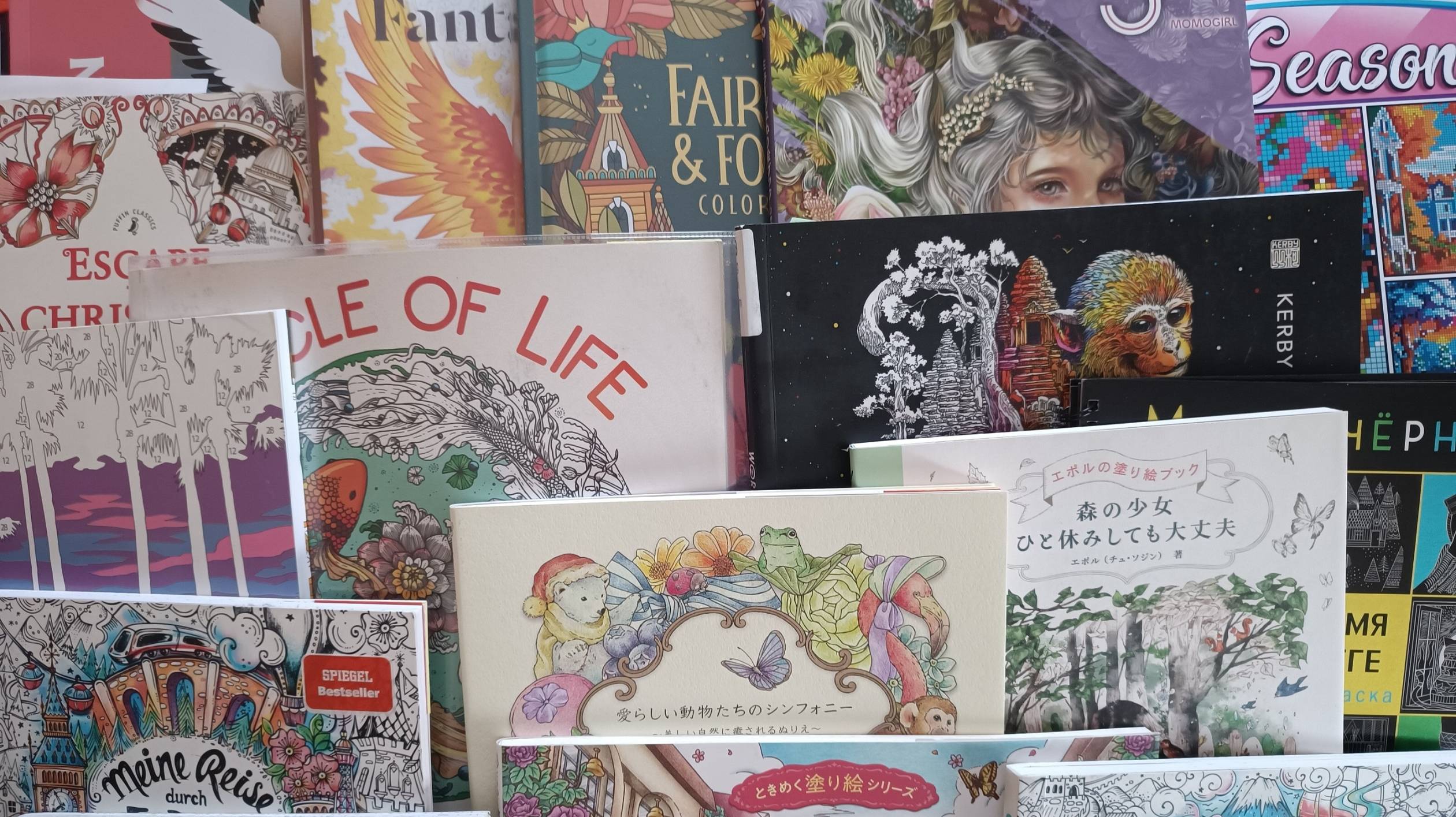 Итоги 2024 и творческие планы на 2025 год