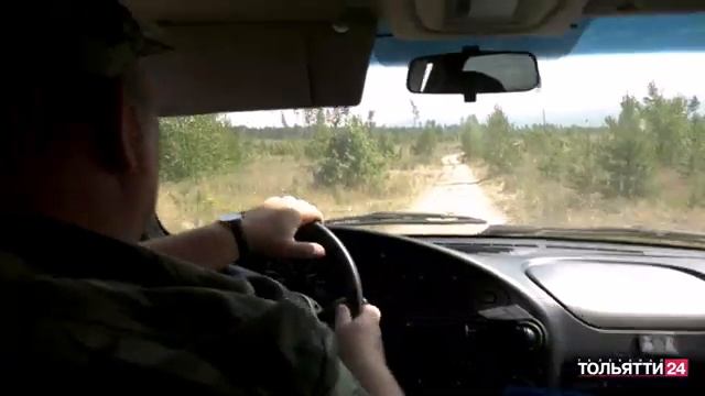 «Новости Тольятти» 14.08.2023. Утренний выпуск