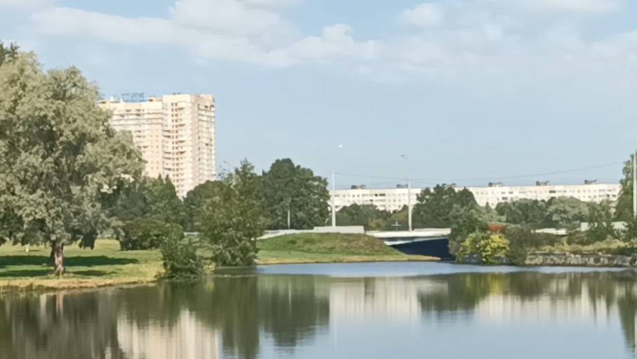 Прогулка до Сосновки