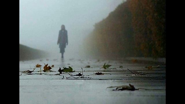 Песня Сергея Ларина «Наблюдаю за душой»