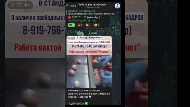 Контакты и ссылка на канал в описании 👇🏻