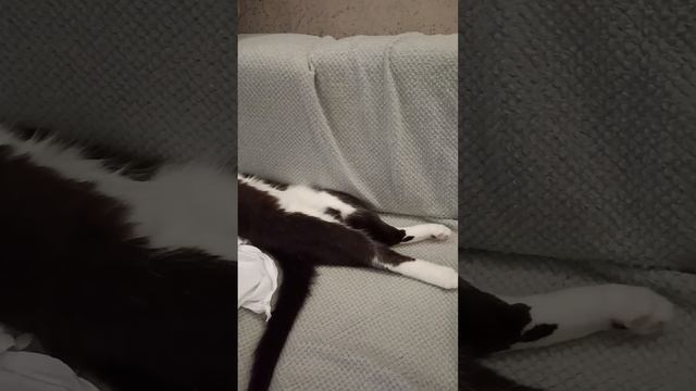 1000026606.mp4