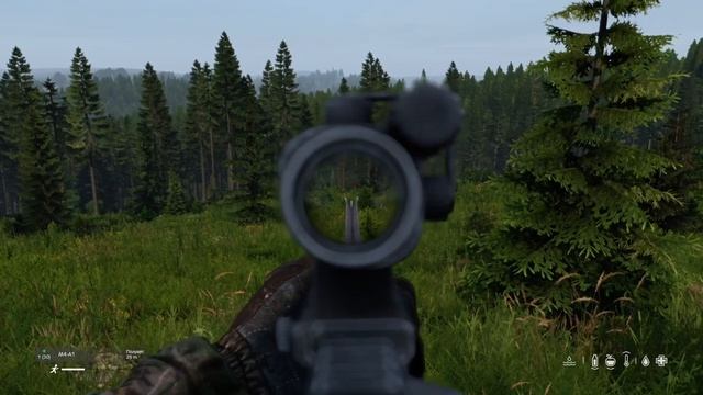 Dayz охота на медведя 1