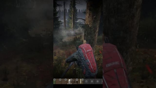 ВСЕ ЧИСТО #dayz #dayzstandalone #dayzpvp #shorts