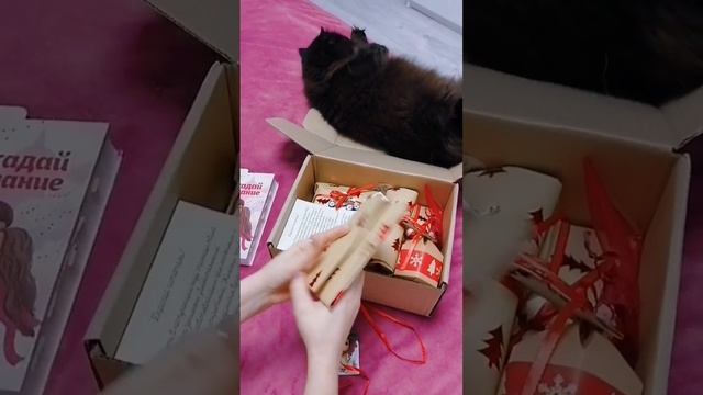 Книжный бокс декабря/Подарок 1