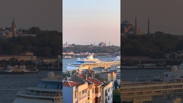 13673910-hd_1080_1920_30fps