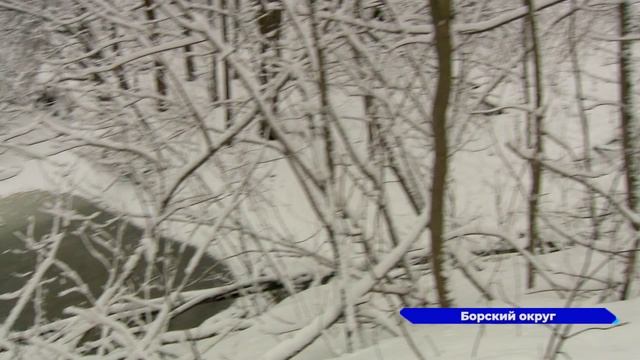 По вердикту Борского городского будет закрыт санаторий «Автомобилист»