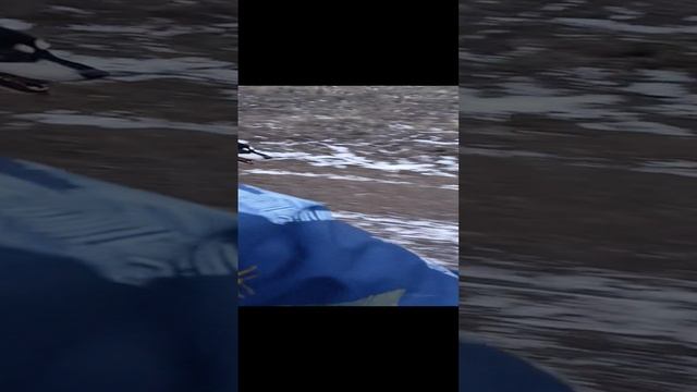 1000037997.mp4