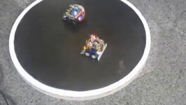 mobbing mini sumo robot