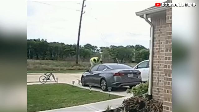 Bravest Amazon Delivery Driver EVER (Caught on Ring Doorbell)