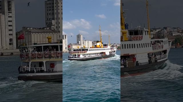13302144-hd_1080_1920_30fps