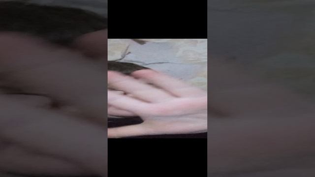 1000003068.mp4