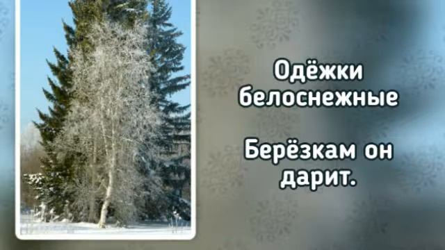360 Снежок пушистый (-)
