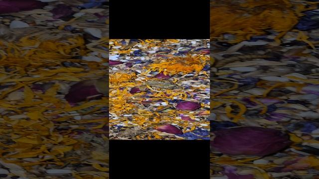 1000381029.mp4
