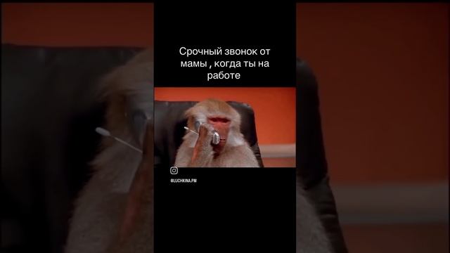 Мама советует