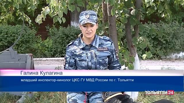 "Новости Тольятти". Утренний выпуск 09.08.2023