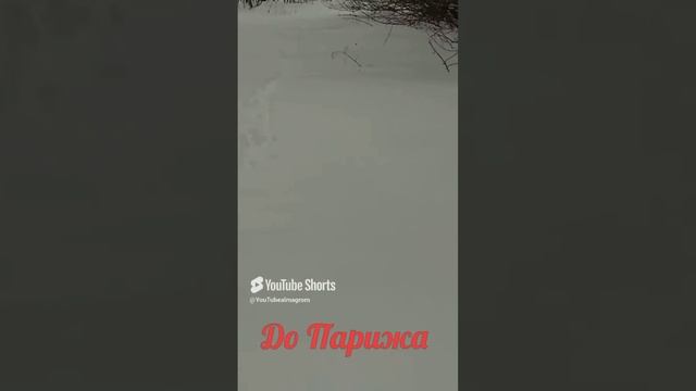 До Парижа!
