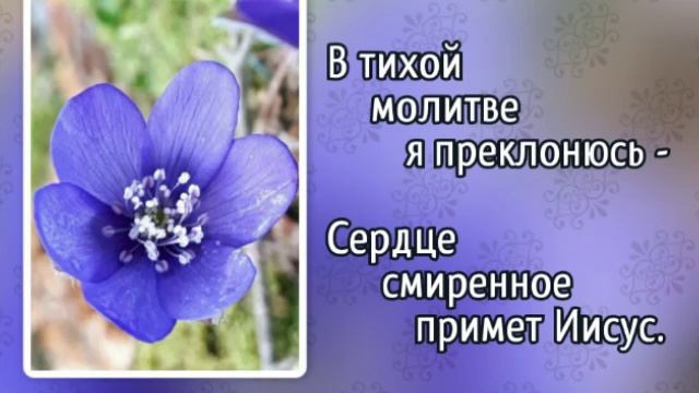 212 Ближе, всё ближе (-)