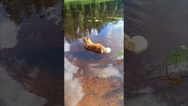 пришла на пилинг красотка хитропопая