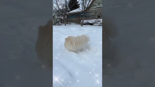 1000004957.mp4